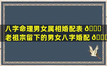 八字命理男女属相婚配表 🐒 （老祖宗留下的男女八字婚配 🐘 口诀）